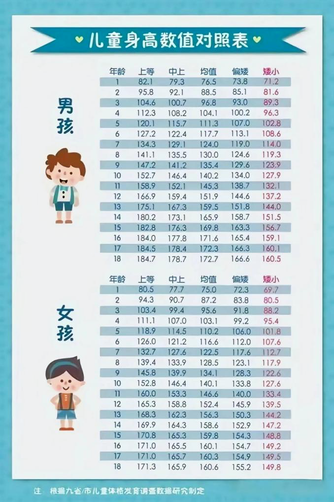 内分泌2.png