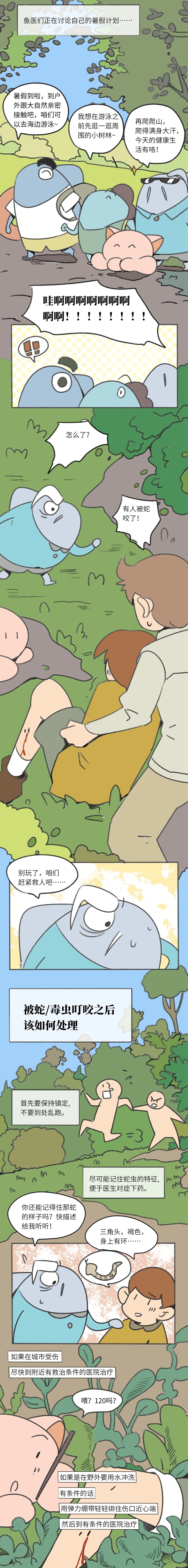 鲁渔.jpg